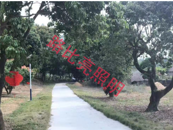 太阳能路灯